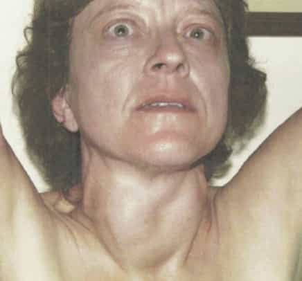 Descripción de la imagen